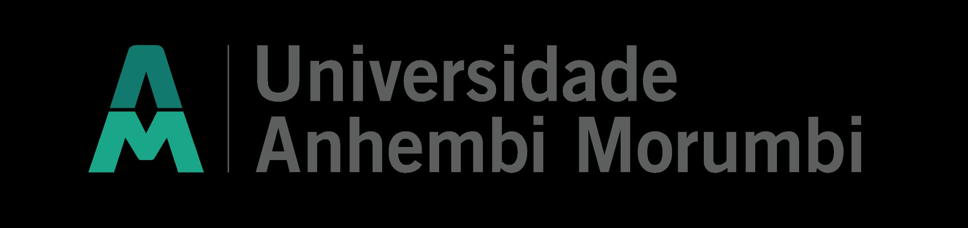Universidade Anhembi Morumbi